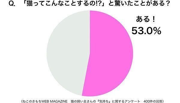グラフ:「猫ってこんなことするの!?」と驚いたことがある?