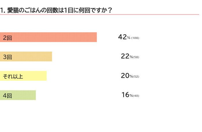 愛猫のゴハンの回数は?