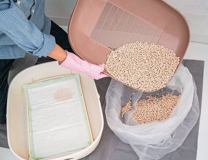 トイレ砂とペットシーツを捨てる