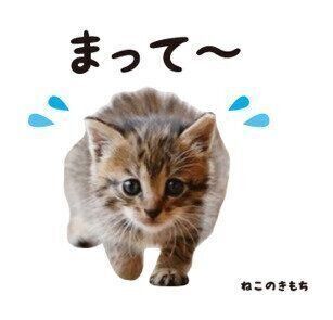 みーちゃんのスタンプ