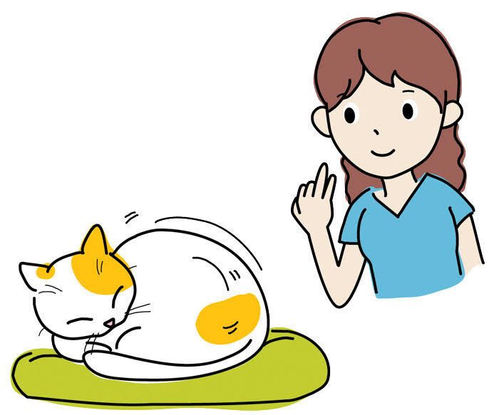 イラスト/chizuru