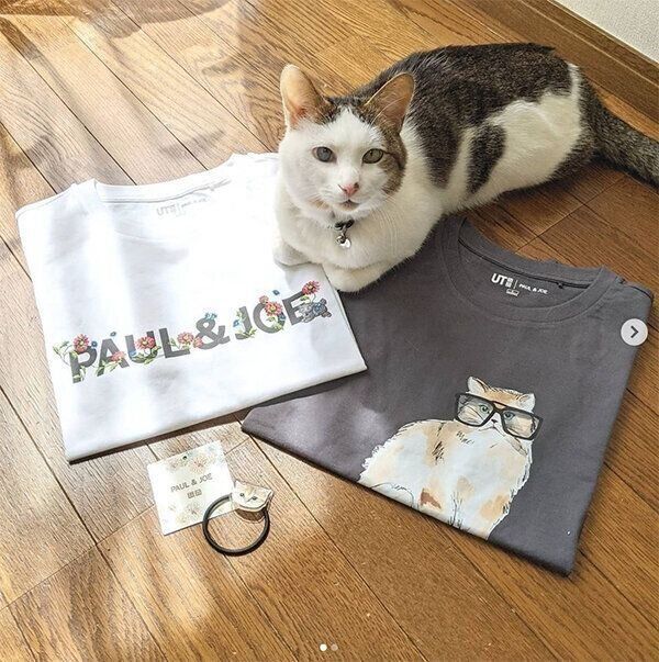 「ユニクロ×PAUL&JOE」のコラボ商品