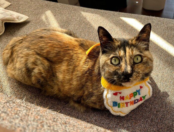 6才になった冨来ちゃん