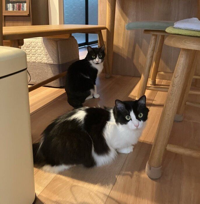 お迎えから2カ月