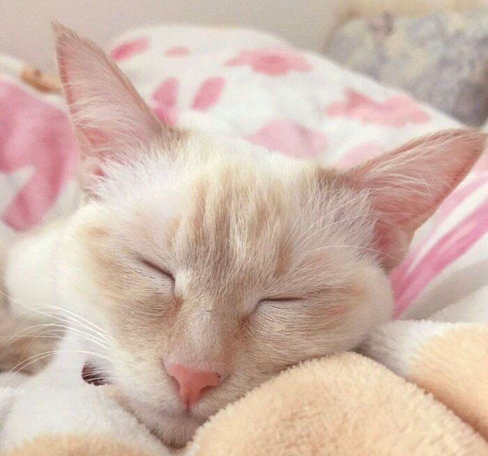 眠るひなたちゃん