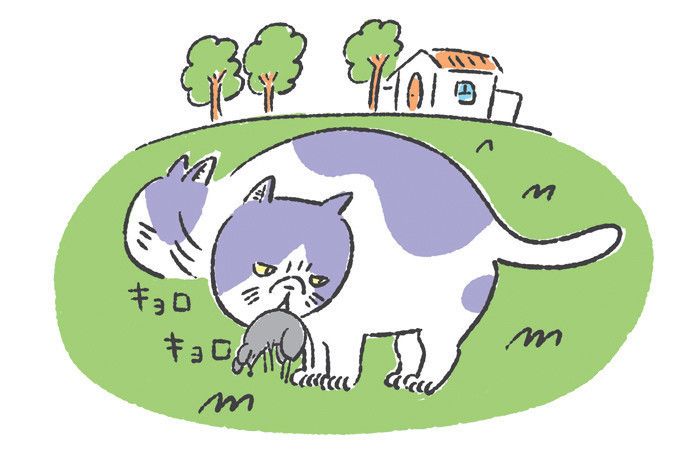 「噛む引っかく」猫キャラその1:警戒心強めの「元ノラちゃん」