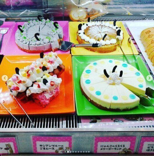 スイーツパラにゃんスで提供される各種ケーキ