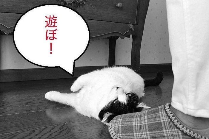 撮影/栗林 愛
