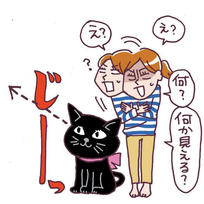 よく耳にする猫のウワサ、これって真実?