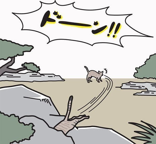 隠れる猫
