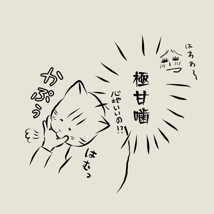 保護猫に関する記事一覧 ねこのきもちweb Magazine