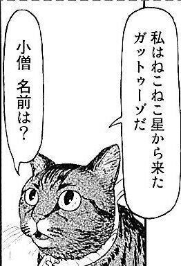 ©渡辺慎一/講談社