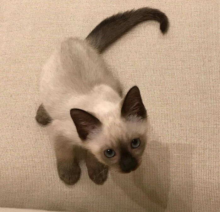 生後推定3カ月のころのレオくん