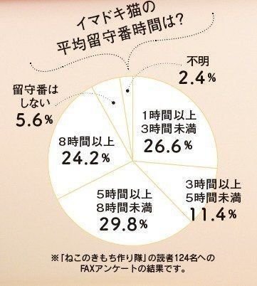 画像/2018年4月号「ちょっとの心がけで、絆はもっと強まる 猫の留守番ビフォーアフターにすること」