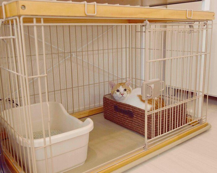 撮影/奥山美奈子