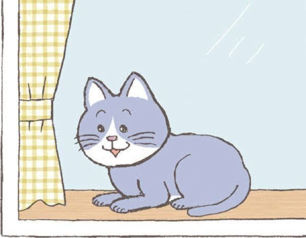 窓越しの猫