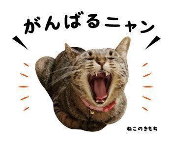 ライムちゃんのスタンプ