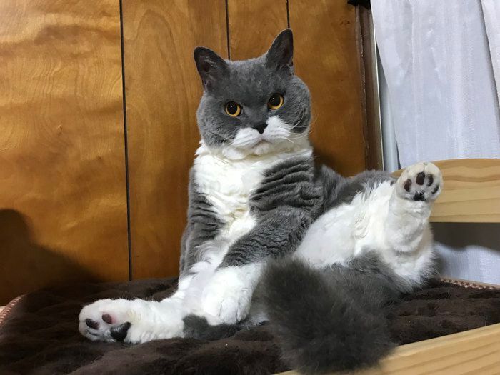オッサン座り