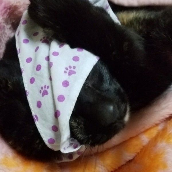 るぅ MIX サビ