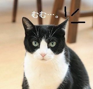 撮影/尾﨑たまき