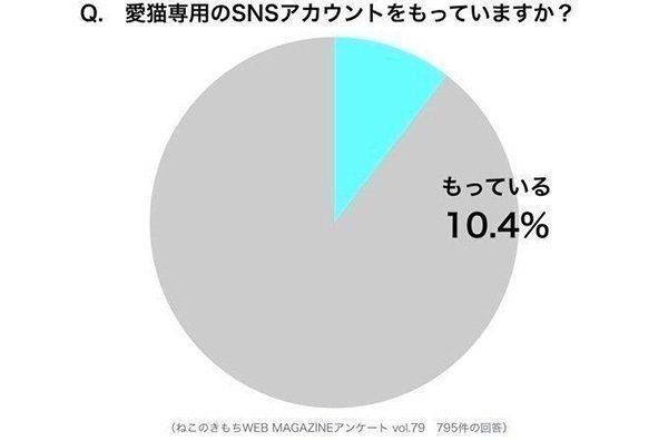 調査:愛猫専用のSNSアカウントをもっていますか?