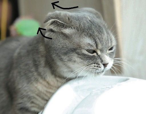 撮影/尾﨑たまき