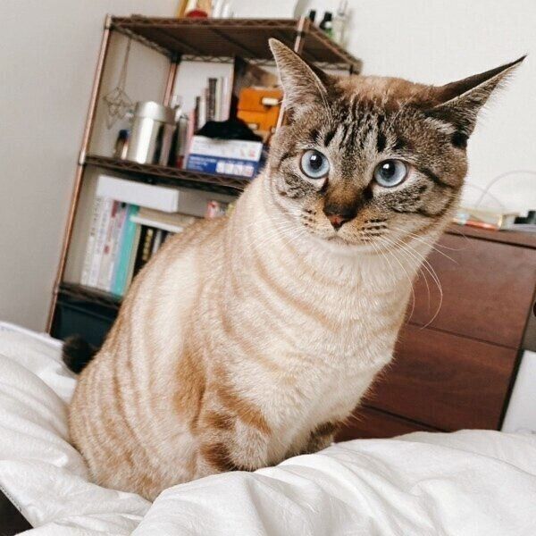 1才6カ月ごろのモネさん