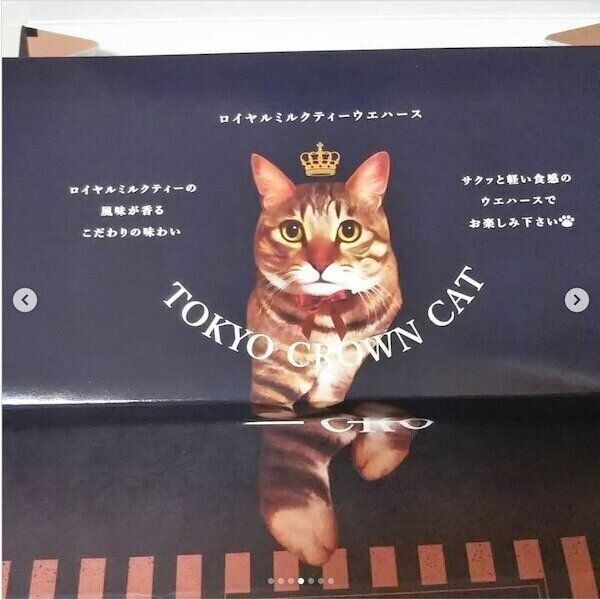 「TOKYO CROWN CAT」