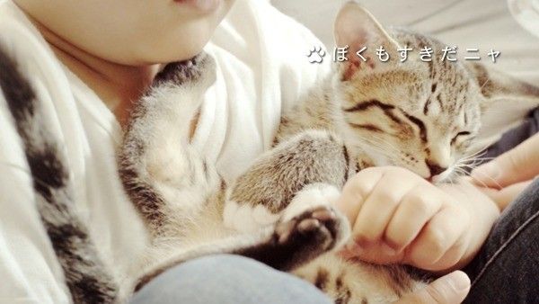 ぼくもすきだニャ