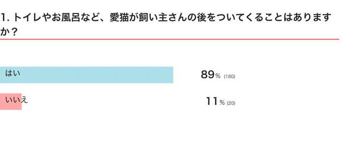 トイレやお風呂など、愛猫が飼い主さんのあとをついてくることはある?