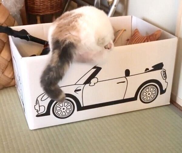おもちゃ箱を物色中のねね子ちゃん