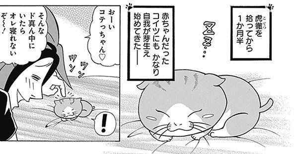 『れんコテ』