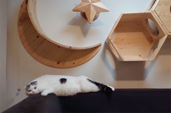 ぐでるライくん