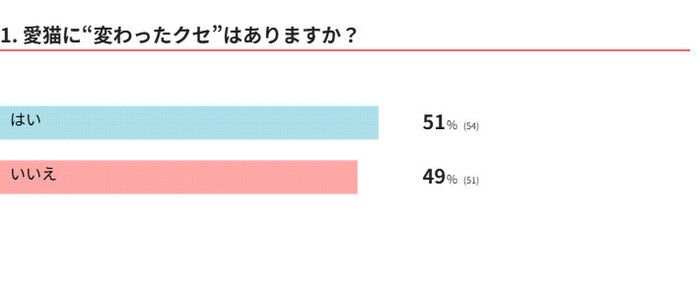 愛猫に“変わったクセ”はある?