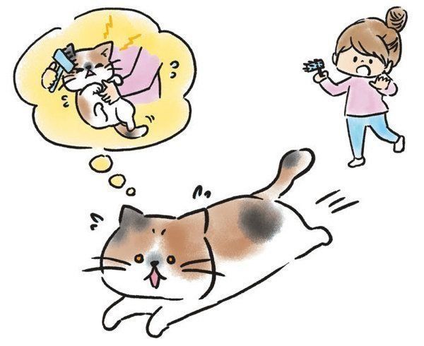 猫の記憶力を検証(イラスト/ベスヨシコ)