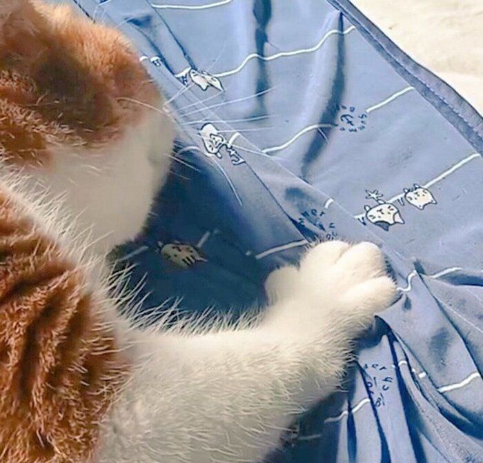 手の形が可愛いもなかくん