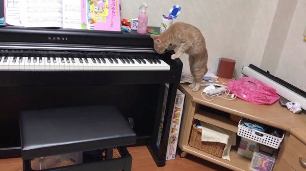 ピアノ
