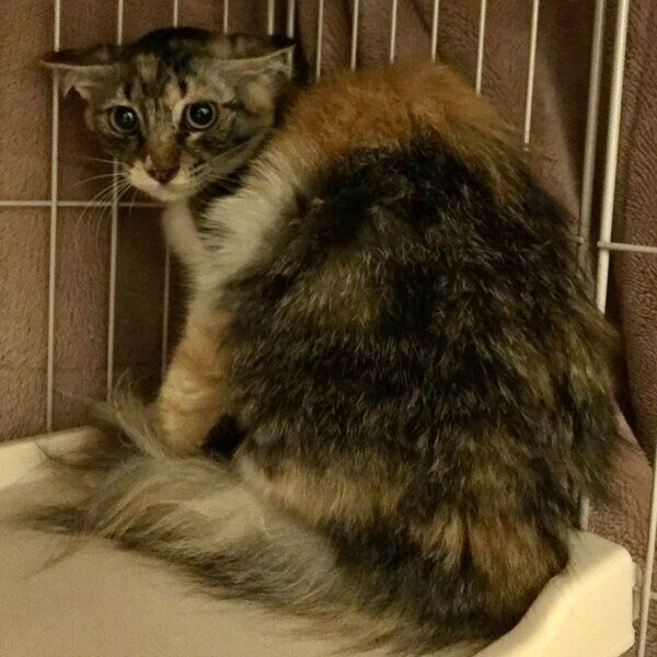 生後7カ月のつくしちゃん