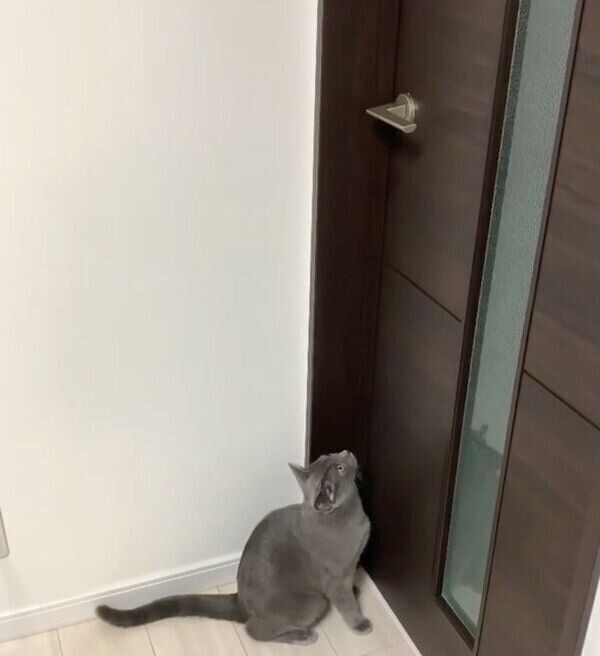 ドアノブを見つめるるなちゃん