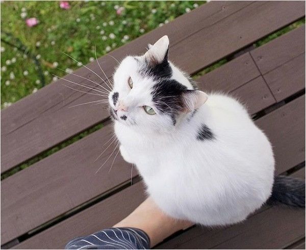 はに丸くん