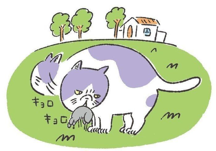 イラスト/山中正大