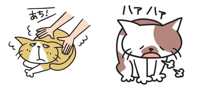 イラスト/河南好美さん