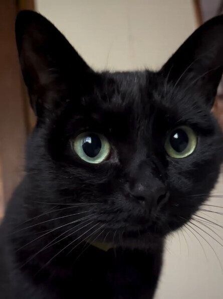 飼い主さんが起きるのを待つ三浦ちゃん。