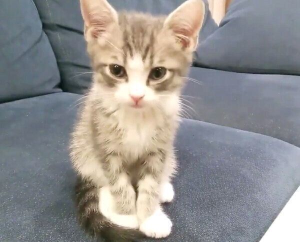 座りながらウトウトするあおちゃん