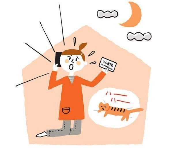 飼い主さんの夜間救急体験記