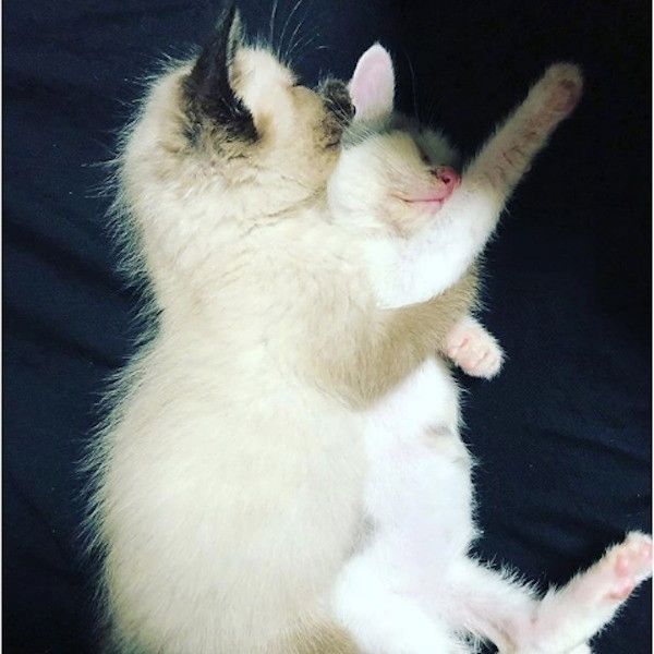 源と蒼