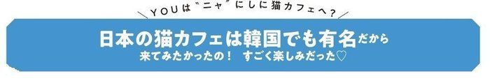 画像/ねこのきもち2018年11月号