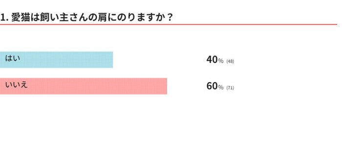 愛猫は肩に乗る?