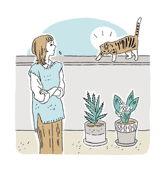 イラスト/徳丸ゆう