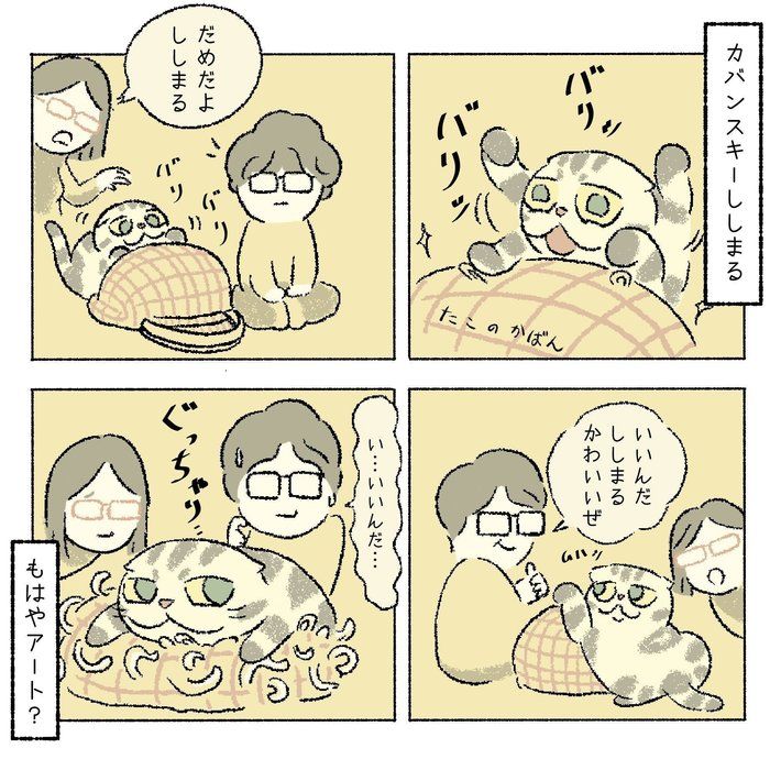 @tacos_cat